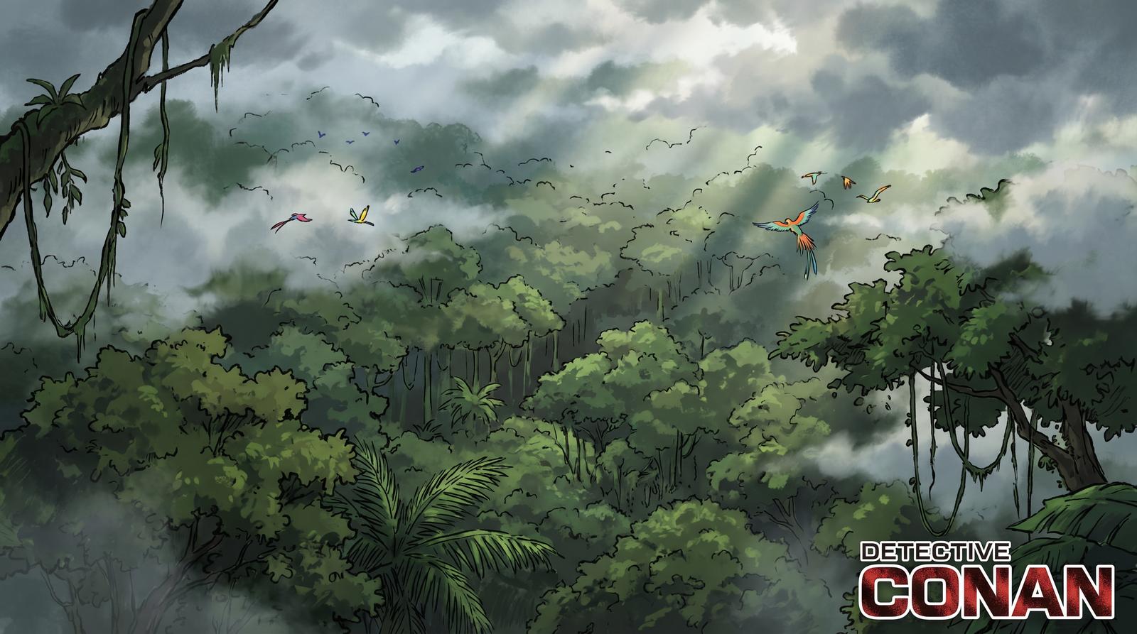 黄色仓库热带雨林植物视频